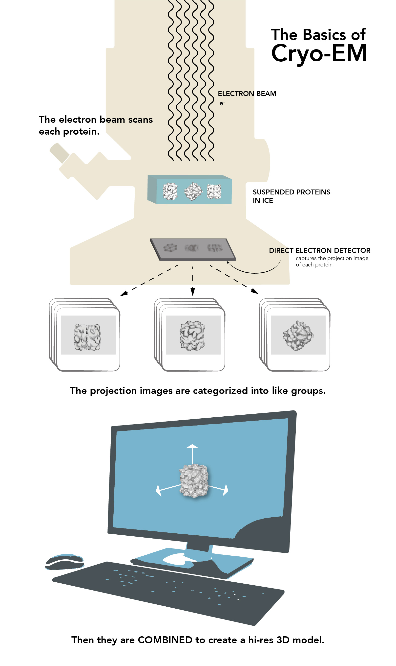 infographic explainining the basics of cryo-EM